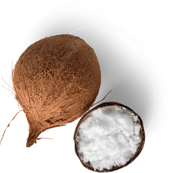 Organic Ingredients that Serve a Specific Purpose in our Formulations Organic Ingredients that Serve a Specific Purpose in our Formulations