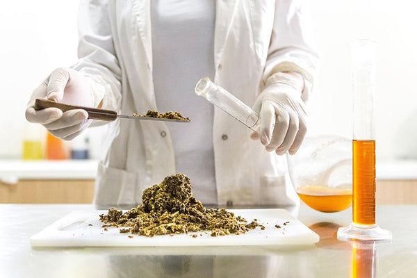 Chain of Custody from Seed to Finish Product for the Highest Quality Standards Chain of Custody from Seed to Finish Product for the Highest Quality Standards