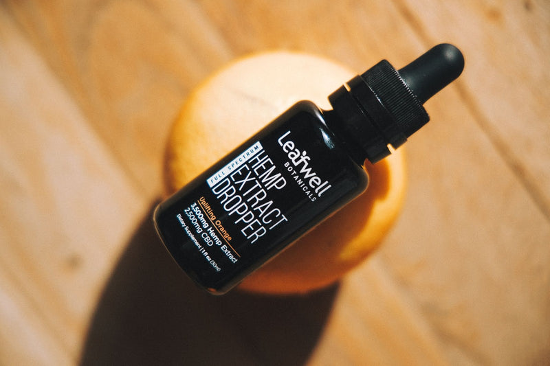 CBD Oil For Cats: What You Need to Know